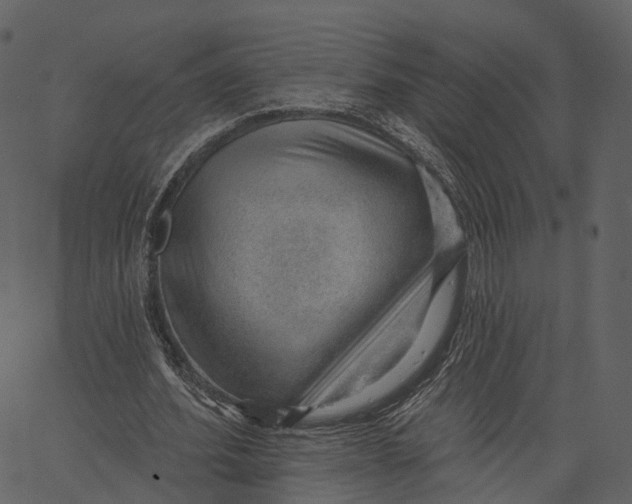 X0000062610580200601111011