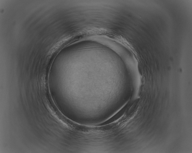 X0000062610581200601111011