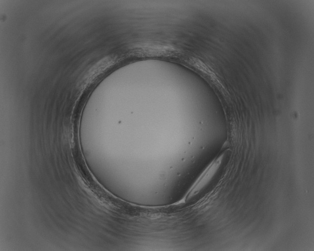 X0000062610582200601111011