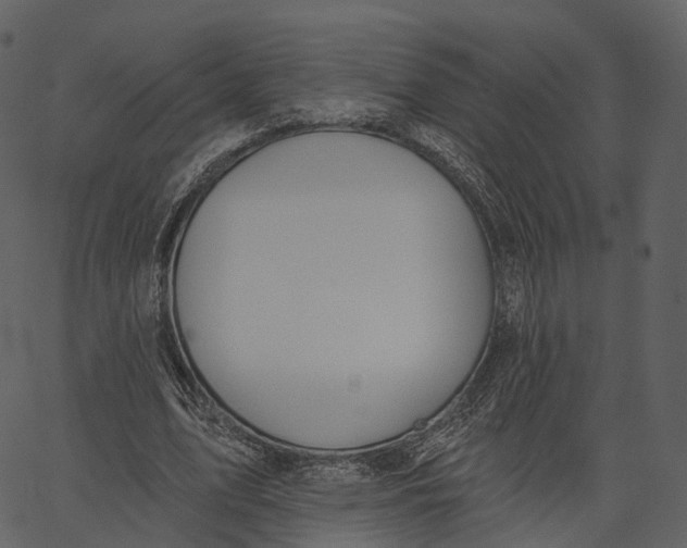 X0000062610583200601111011