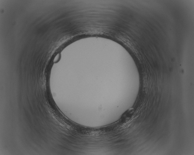 X0000062610584200601111011