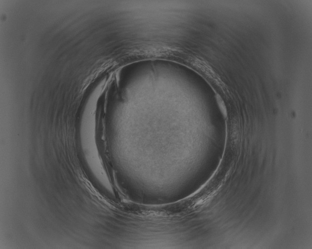 X0000062610585200601111010