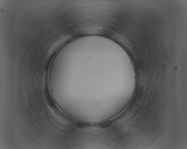 X0000062610586200601111010