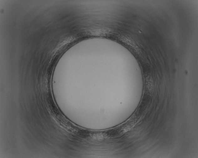 X0000062610587200601111010