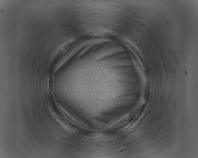 X0000062610589200601111010