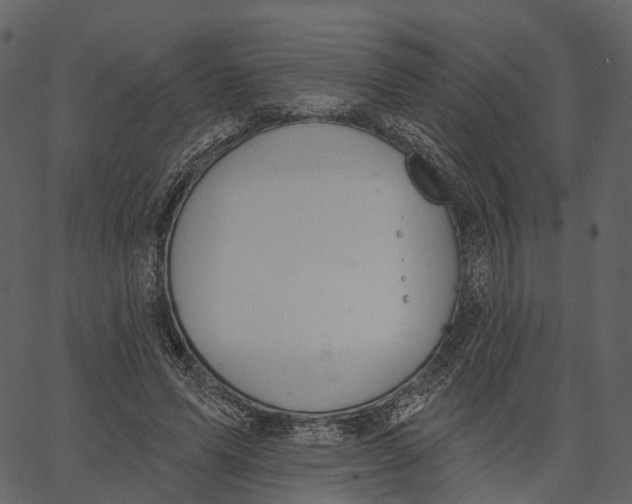 X0000062610591200601111010