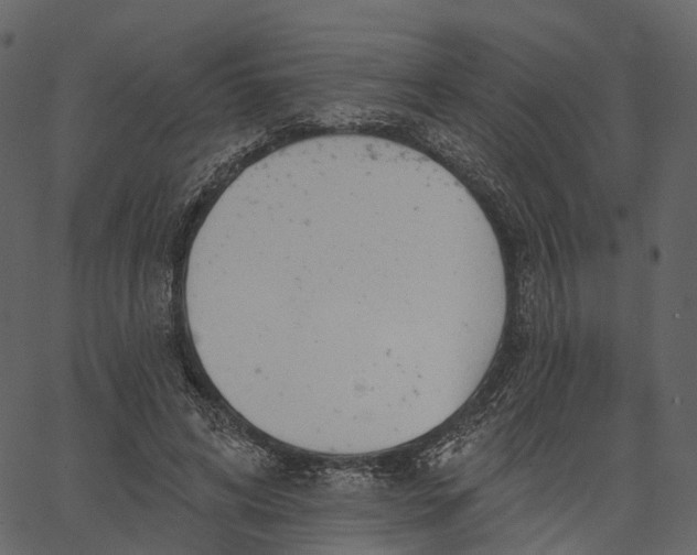 X0000062610592200601111010