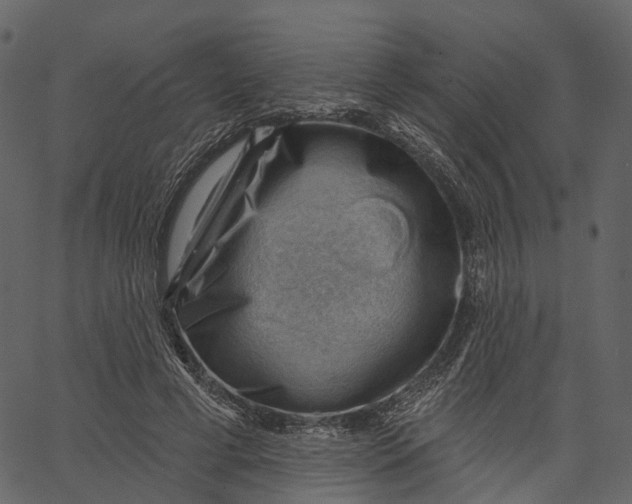 X0000062610593200601111010