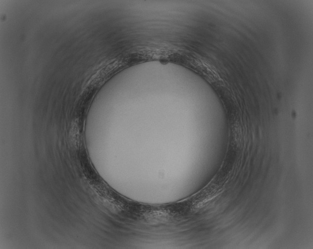 X0000062610594200601111010