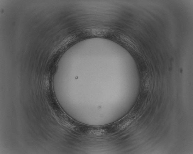 X0000062610595200601111010