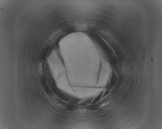 X0000062610598200601111010