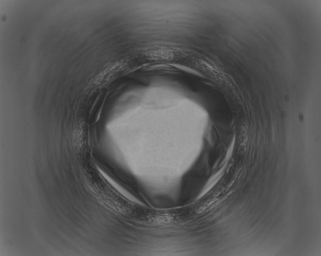 X0000062610600200601111010