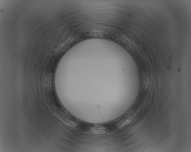 X0000062610603200601111010