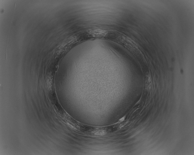 X0000062610604200601111010