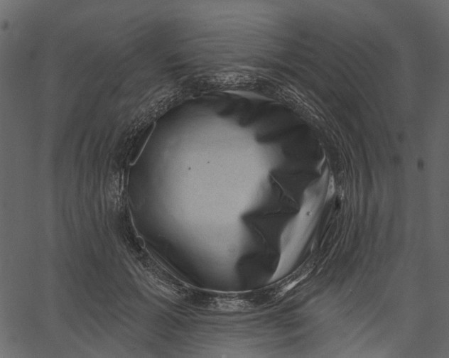 X0000062610605200601111010