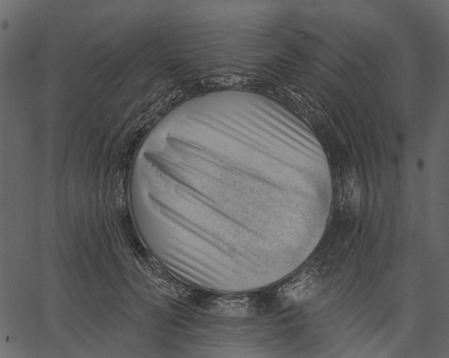 X0000062610606200601111010