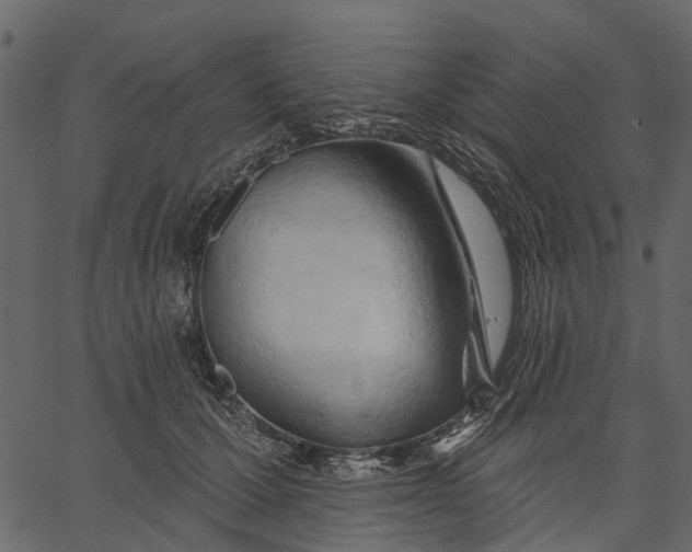 X0000062610607200601111010