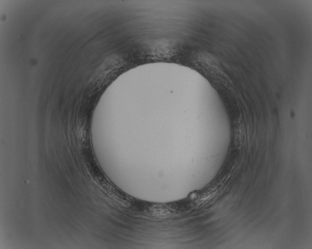 X0000062610608200601111010