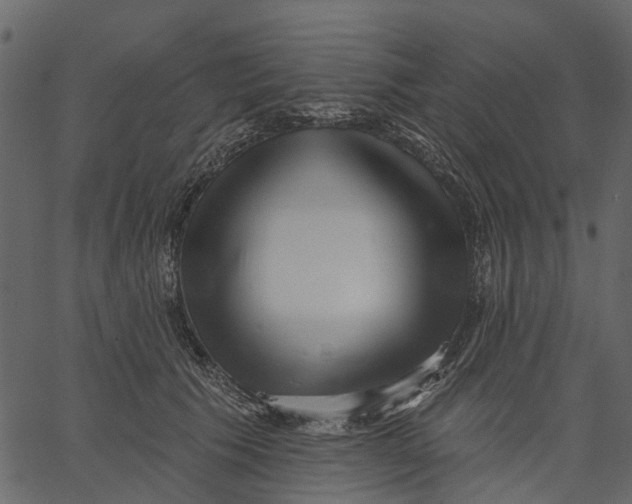 X0000062610609200601111010