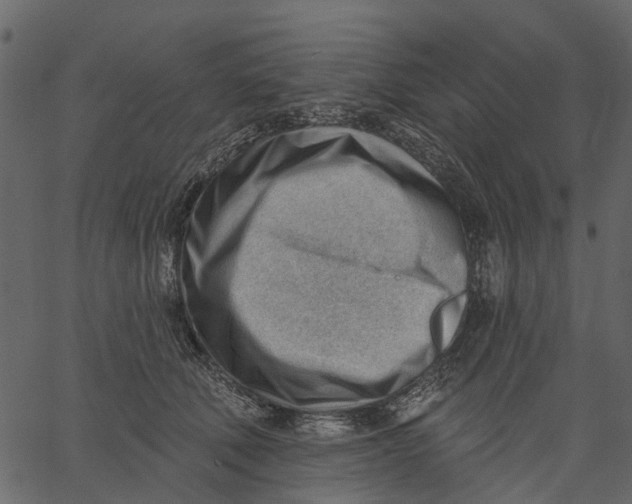 X0000062610610200601111010