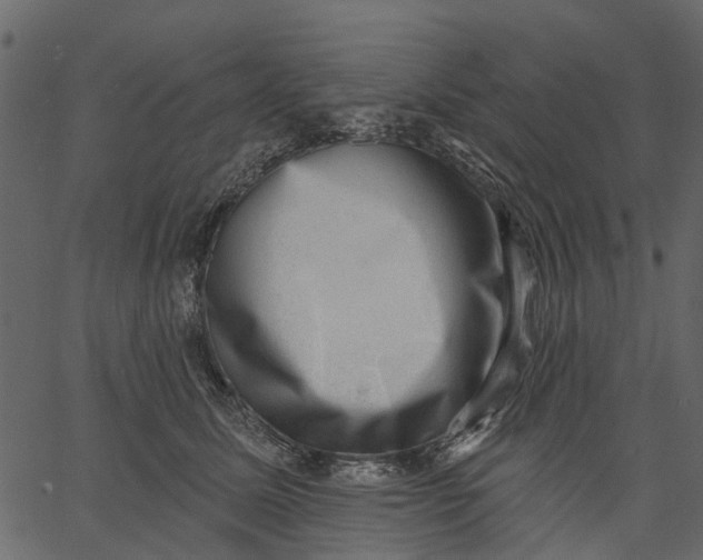 X0000062610611200601111010