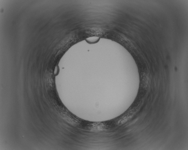 X0000062610612200601111010