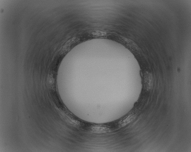 X0000062610614200601111010