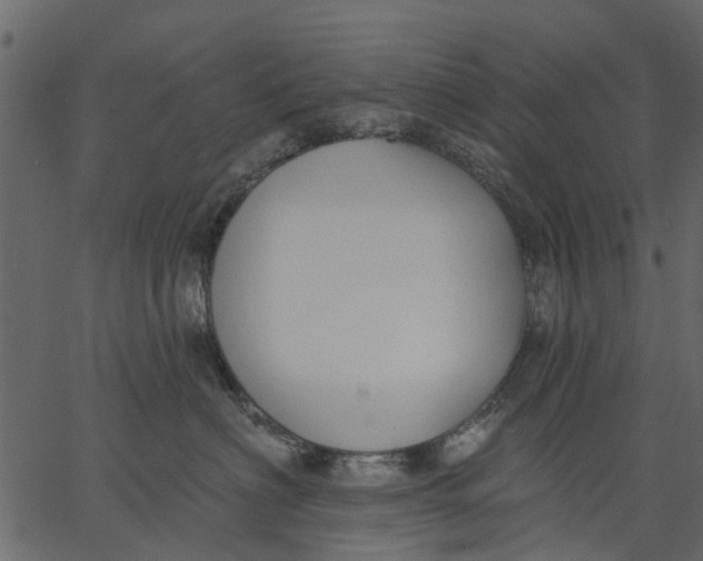 X0000062610622200601111010