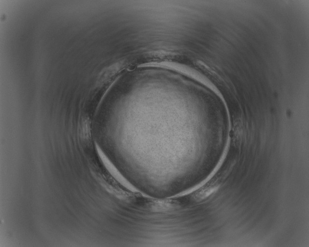 X0000062610623200601111010