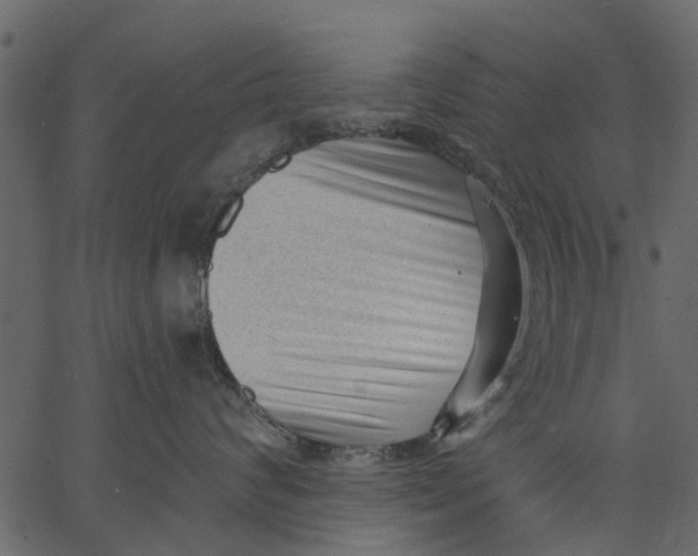 X0000062610624200601111010