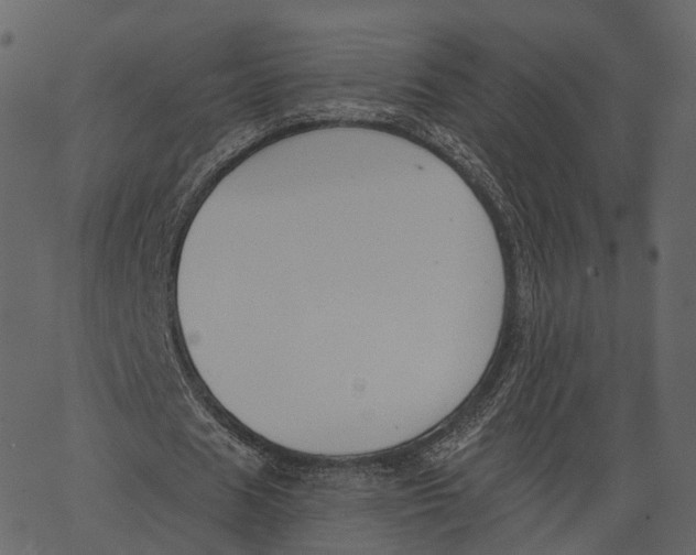 X0000062610625200601111009