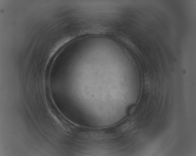 X0000062610626200601111009