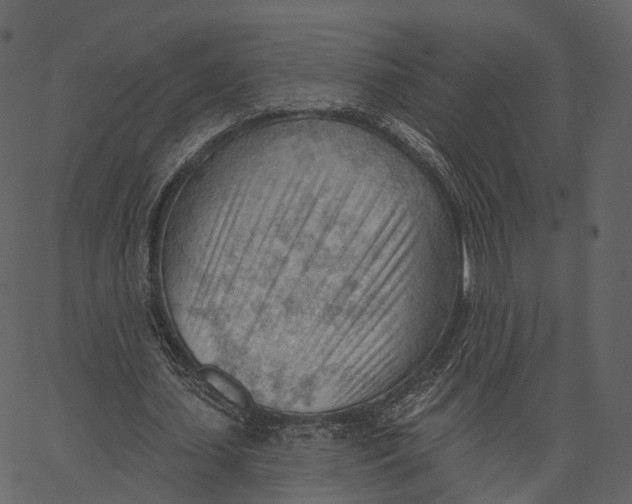 X0000062610627200601111009