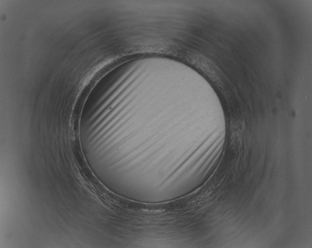 X0000062610628200601111009