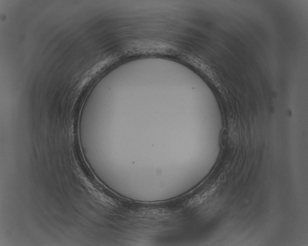 X0000062610629200601111009