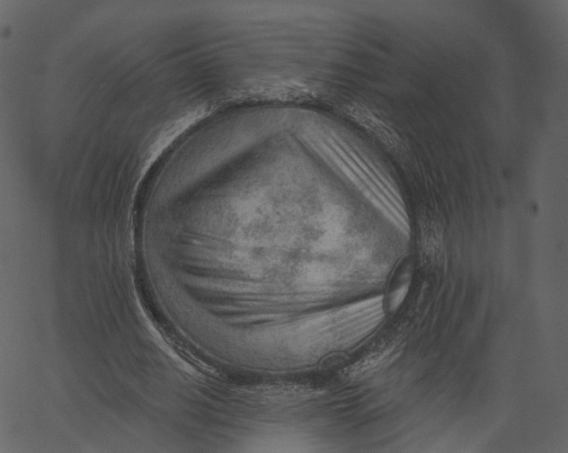 X0000062610630200601111009