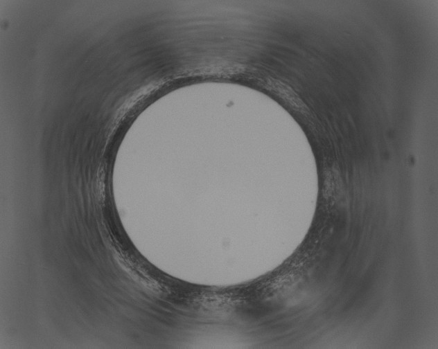 X0000062610632200601111009