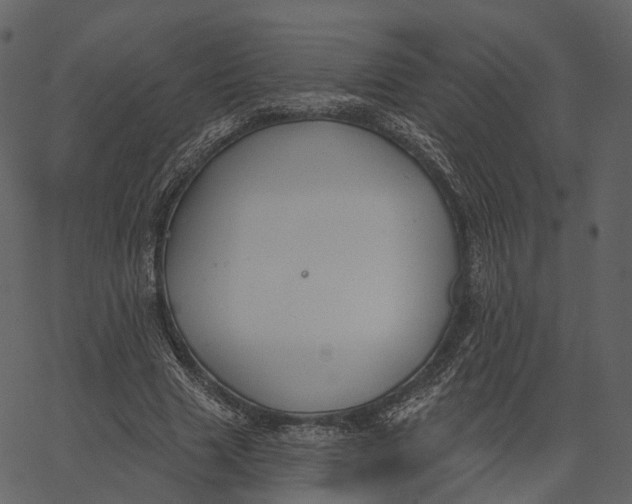 X0000062610633200601111009