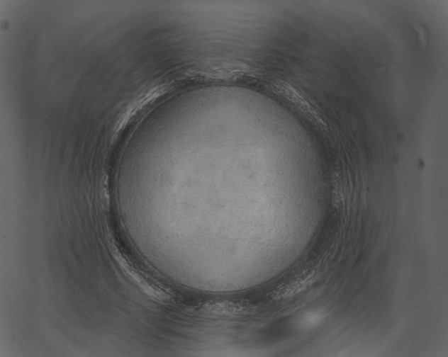 X0000062610634200601111009