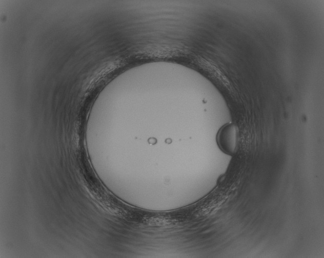 X0000062610635200601111009