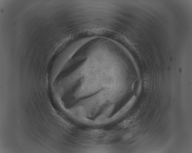 X0000062610637200601111009