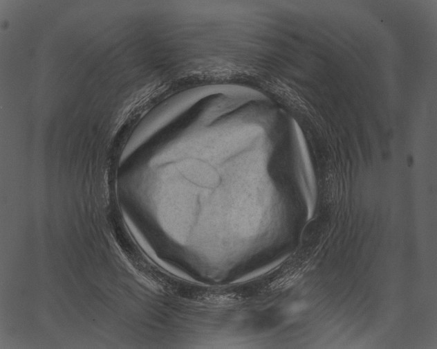 X0000062610638200601111009