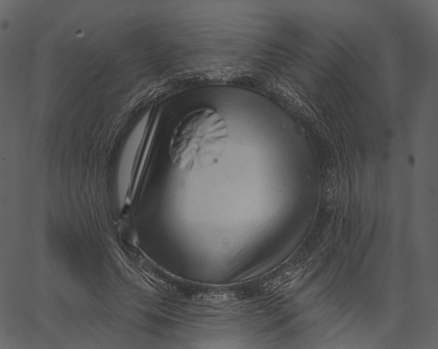 X0000062610639200601111009