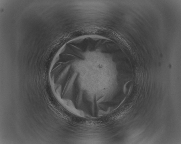 X0000062610641200601111009