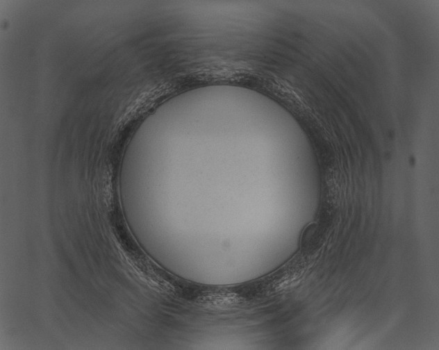 X0000062610642200601111009