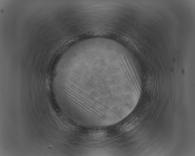 X0000062610643200601111009