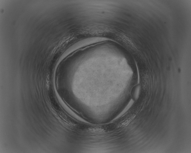 X0000062610644200601111009