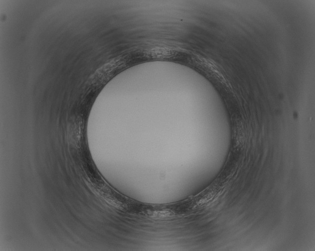 X0000062610645200601111009