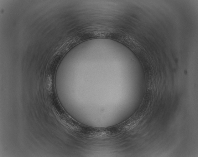 X0000062610646200601111009