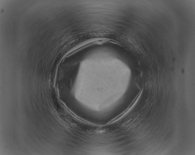 X0000062610647200601111009